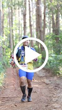 BIB:  <button type="button" onclick="openModal(26569829)" class="btn btn-primary btn-sm float-right" data-toggle="modal" data-target=".modal-high-quality">
                <i class="fa fa-download"></i> Download
                </button>